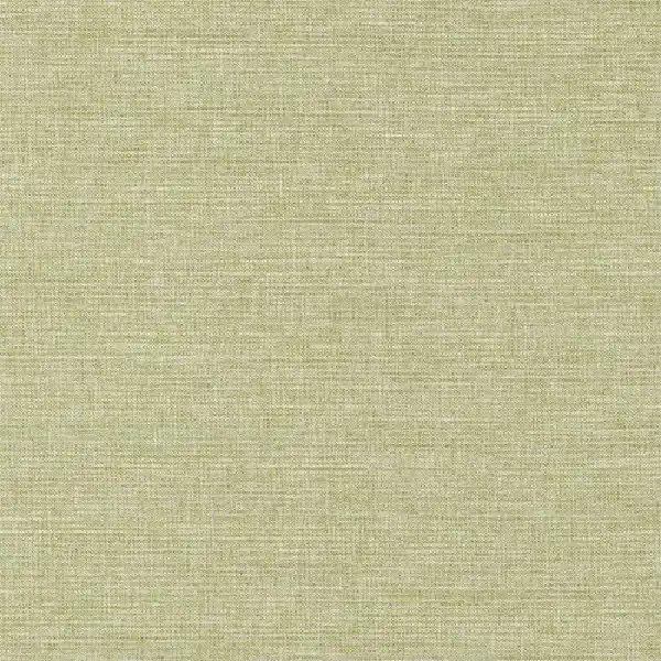 light green fabric with a horizontal woven texture.